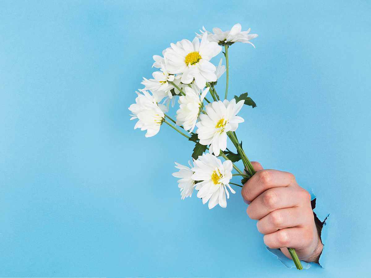 Подарки за отзывы